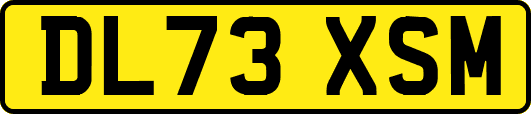 DL73XSM