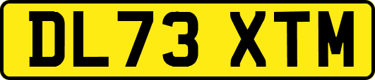 DL73XTM