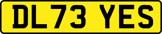 DL73YES