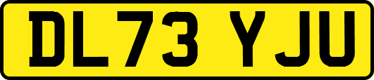 DL73YJU