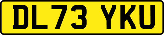 DL73YKU