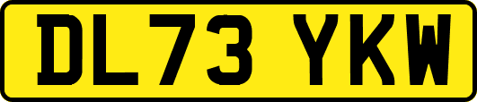 DL73YKW