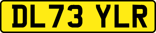 DL73YLR
