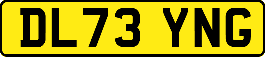 DL73YNG