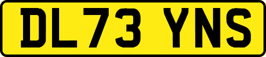 DL73YNS