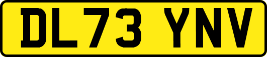 DL73YNV
