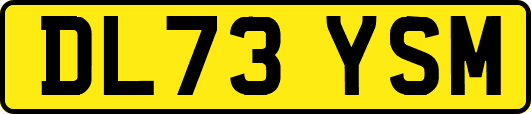 DL73YSM
