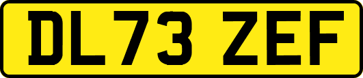 DL73ZEF