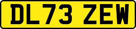 DL73ZEW
