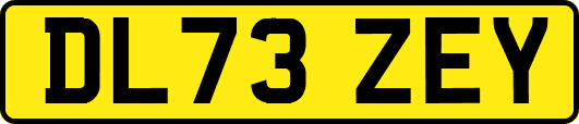 DL73ZEY