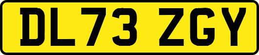 DL73ZGY