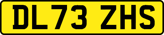 DL73ZHS