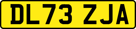 DL73ZJA