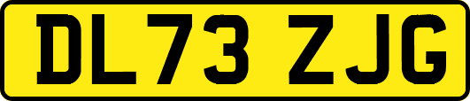 DL73ZJG