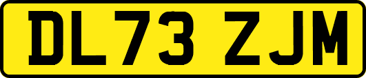DL73ZJM