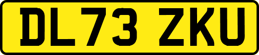 DL73ZKU