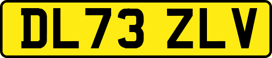 DL73ZLV
