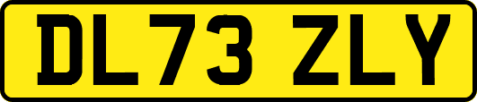 DL73ZLY