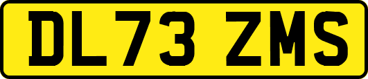 DL73ZMS