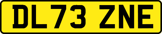 DL73ZNE
