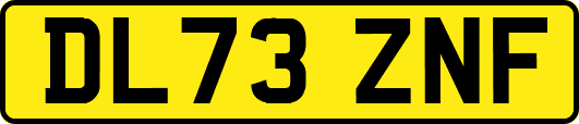 DL73ZNF