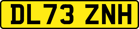 DL73ZNH