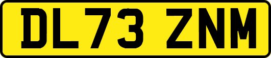 DL73ZNM
