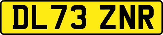 DL73ZNR