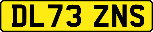 DL73ZNS