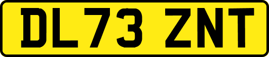DL73ZNT