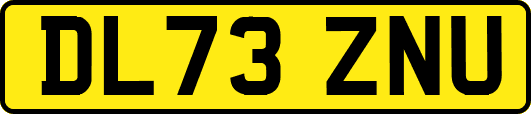 DL73ZNU