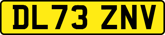 DL73ZNV
