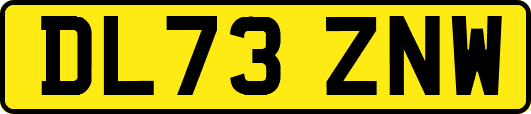 DL73ZNW