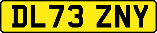DL73ZNY