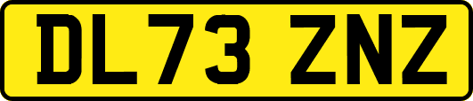 DL73ZNZ