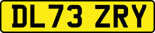 DL73ZRY