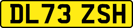 DL73ZSH