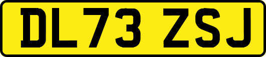 DL73ZSJ