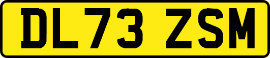DL73ZSM