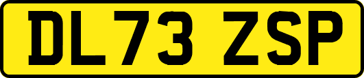 DL73ZSP