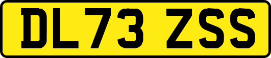 DL73ZSS