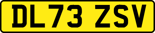 DL73ZSV