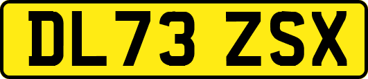 DL73ZSX