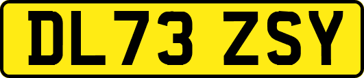 DL73ZSY