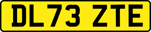 DL73ZTE
