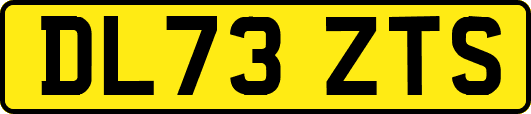 DL73ZTS