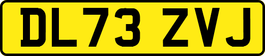 DL73ZVJ