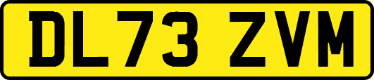 DL73ZVM