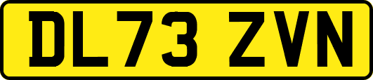 DL73ZVN