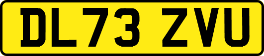 DL73ZVU